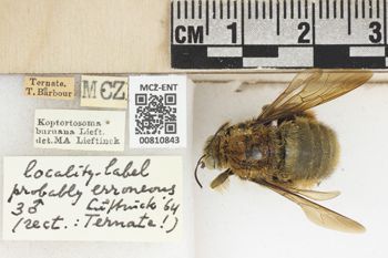Media type: image;   Entomology 810843 Aspect: labels